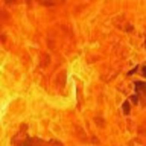 Meet your Posher, Ava